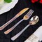 24 Iridescent Disposable Plastic Cutlery Spoon Fork Knife Set